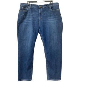 VGS Skinny Blue Jeans Hi Rise - Plus Size 24